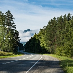 6 день- Переезд в средний Алтай